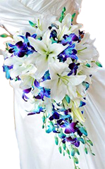 Brides bouquet made of White Liliums, blue orchids  available for Chennai.